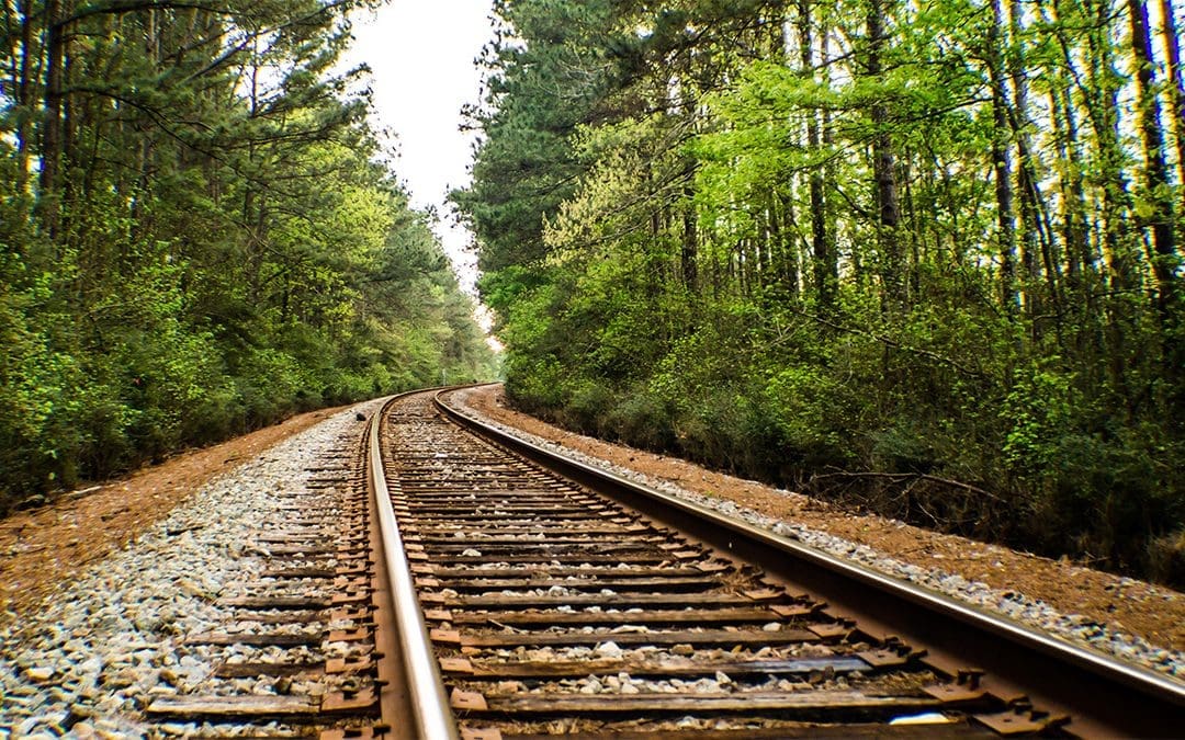 Acquisition of the Sequatchie Valley Railroad and the Walking Horse and Eastern Railroad