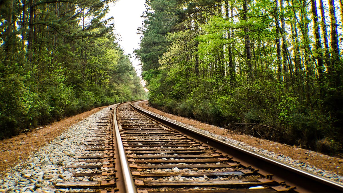 Walking Horse Railroad tracks